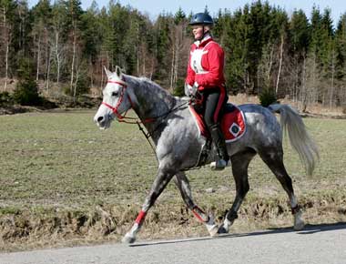 Maria Hagman Eriksson Riding Picabo